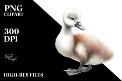 Digital Watercolor with Cute Baby Swan PNG Product Image 2