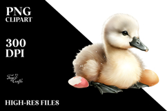 Colorful Baby Swan PNG Product Image 2