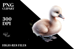 Digital Watercolor with Cute Baby Swan PNG Product Image 2