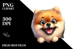 Crazy Looking Pomeranian | Sublimation Clipart Product Image 2