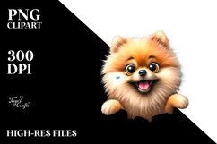 Crazy Looking Pomeranian | Sublimation Clipart Product Image 2