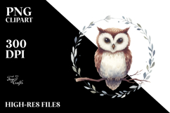 Simple Watercolor Owl PNG Product Image 2