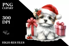 Maltese in Winter, Transparent PNG Product Image 1