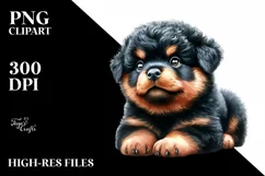 Expressive Baby Rottweiler, Transparent PNG Product Image 1