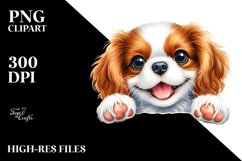 Cute Baby Cavalier Spaniel | Sublimation | Clipart Product Image 1