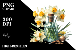 Bottle Daffodil Watercolor | Clipart Product Image 2