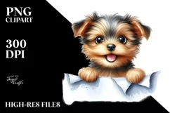 Crazy Looking Small Baby Yorkipoo | Sublimation | Clipart Product Image 3