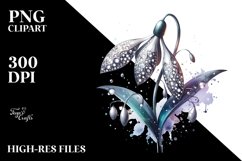 Abstract Detailed Snowdrop Watercolor Splash | Clipart Product Image 3