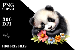 Baby Panda Sleep PNG Product Image 2