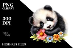 Baby Panda Watercolor PNG Product Image 2