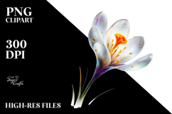 Crocus Watercolor Splash PNG Product Image 2