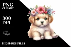 Cute Baby Cat with Big Eyes PNG Product Image 1