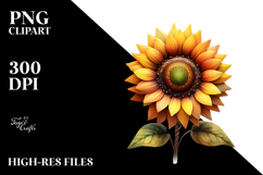 Sunflower with Watercolor Splash, Summer PNG Product Image 2