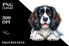 Cute English Springer Spaniel Dog PNG Product Image 2