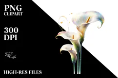 -Like Calla Lily Painting, High-Res PNG Product Image 2