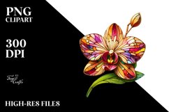Detailed Stained Orchid Watercolor Splash Sticker Clipart Product Image 3