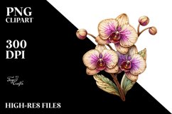 Detailed Stained Orchid Watercolor Splash Sticker Clipart Product Image 3