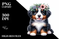 Cute Baby Bernese Mountain Dog Sitting Clipart Product Image 3