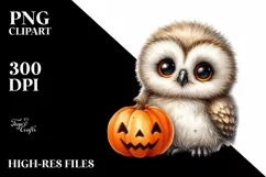 Cute Baby Owl Sitting PNG Product Image 1