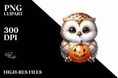 Cute Baby Owl Sitting PNG Product Image 3