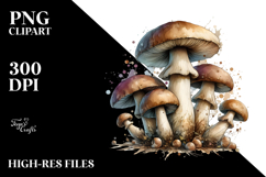 Detailed Mushroom, Transparent PNG Product Image 2