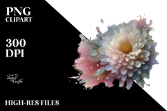 Pastel Chrysanthemum in , Transparent PNG Product Image 2