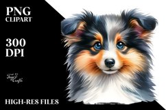 Funny Baby Collie Clipart Product Image 3