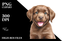 Baby Chesapeake Bay Retriever PNG Product Image 2