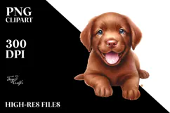 Chesapeake Bay Retriever PNG Product Image 2