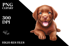 Chesapeake Bay Retriever PNG Product Image 2