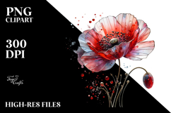 Poppy Watercolor Splash PNG Product Image 2