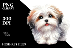 Cute Havanese PNG Product Image 2