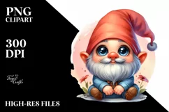 Expressive Gnome Portrait, High-Res PNG Product Image 3
