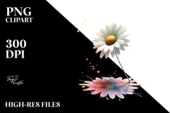 Daisy, Watercolor Splash PNG Product Image 2