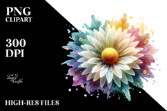 Daisy, Transparent PNG Product Image 2