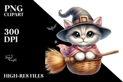 Funny Kitten on Broom Clipart Product Image 2