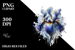 Elegant Iris Illustration, PNG Product Image 2