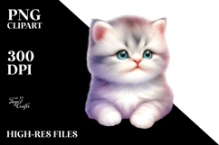Cute Baby Cat with Goofy Smile, Transparent PNG Product Image 2