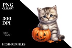 Cute Baby Kitten Sitting PNG Product Image 3