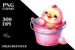 cute Baby Chicken with Bucket PNG Product Image 2