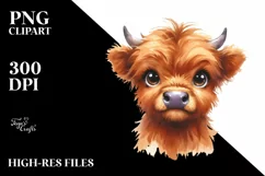 Expressive Funny Baby Face Highland Cow PNG Product Image 3