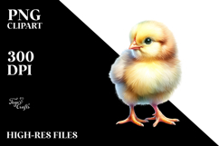 Baby Chicken PNG Product Image 2