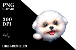 Funny Bichon Frise in Forest with Ice Cracks | Sublimation | Product Image 2