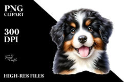 Baby Bernese Mountain Dog PNG Product Image 2