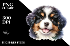 Baby Bernese Mountain Dog PNG Product Image 2