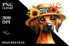 Rhodesian Ridgeback from Behind | Clipart Product Image 1