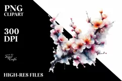 Cherry Blossom Watercolor Clipart Product Image 1