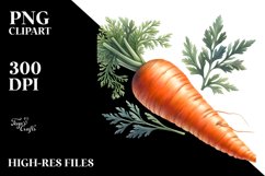 Watercolor Carrot Clipart Product Image 1