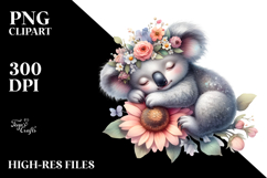 Adorned Baby Koala Product Image 2