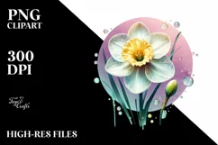 Glossy Watercolor Narcissus Clipart Product Image 3